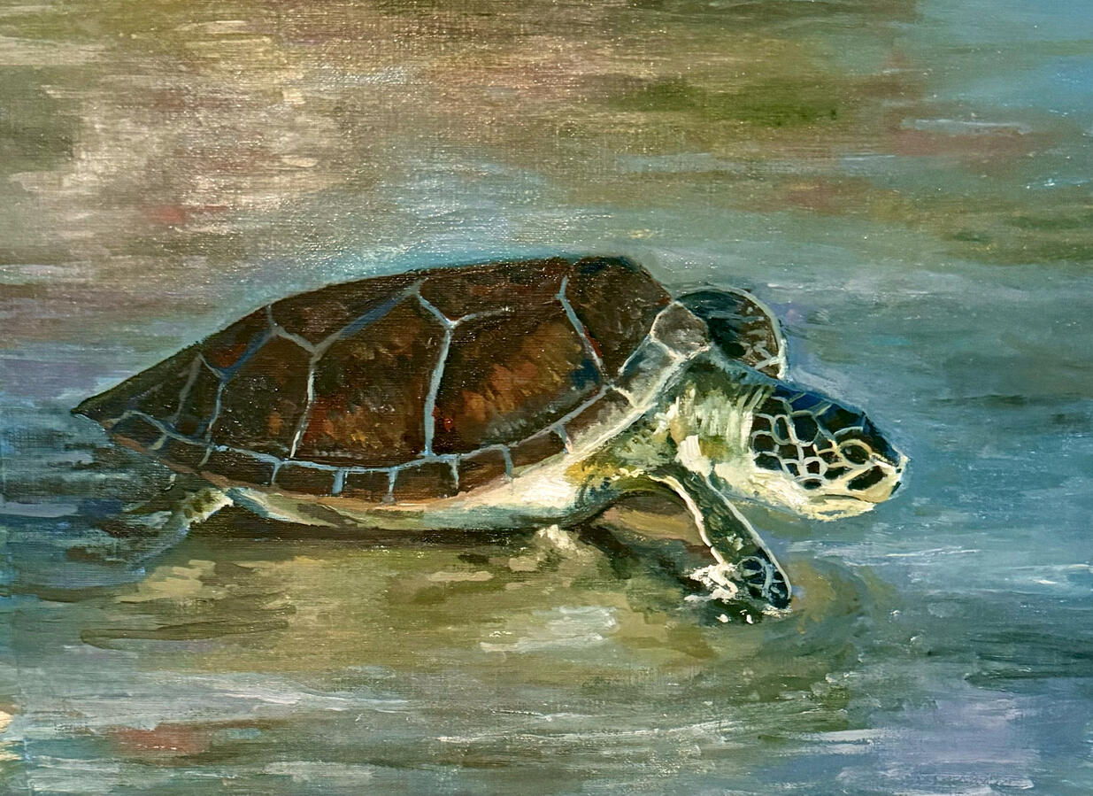 OBX Turtle. Oil on Paper. 2026. Unavailable.