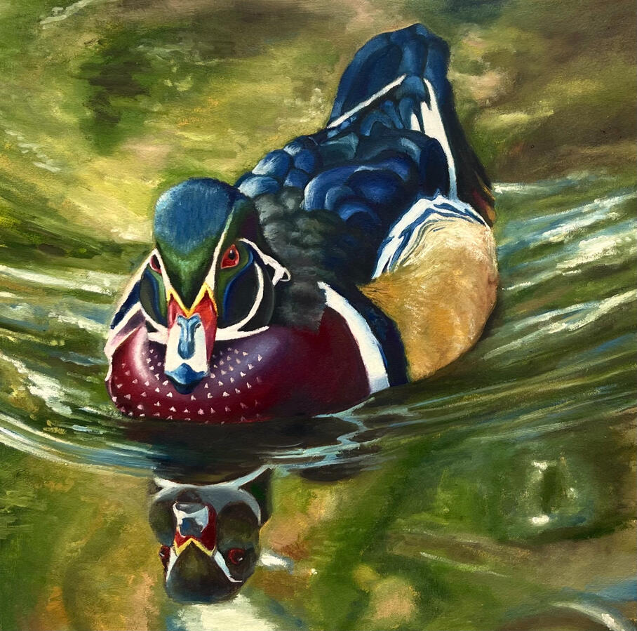 Wood Drake v2, 30x30x1 1/2" oil on canvas. Unavailable. 2024